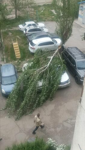 Александра Никсдорф