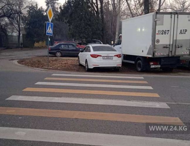 читателя 24.kg