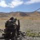 Фото Федерации боевой и практической стрельбы Кыргызстана. Снайперский турнир