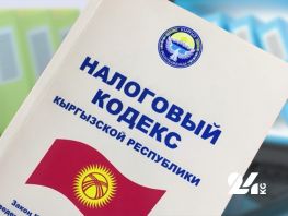 Поправки в&nbsp;Налоговый кодекс. Депутат о&nbsp;послаблениях блогерам, саунам и&nbsp;экспорту

