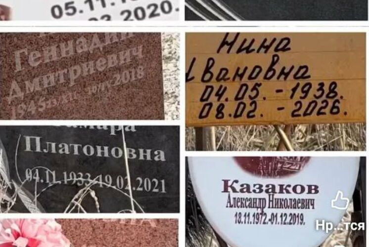 из интернета