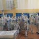 Фото Instagram. Волонтерское движение «Сообща»