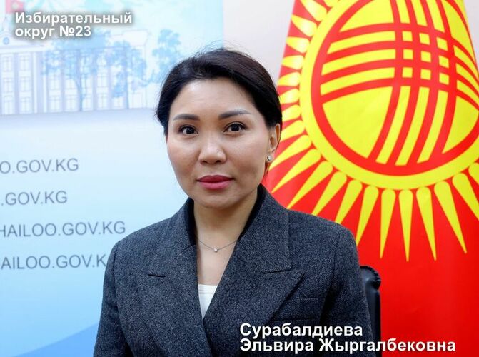 Борбордук шайлоо комиссиясы