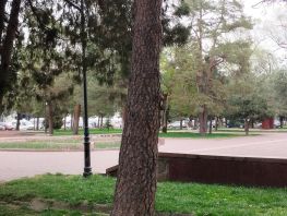 Белки в&nbsp;Бишкеке и&nbsp;водопад в&nbsp;Аламедине: весенние фото и&nbsp;видео читателей 24.kg
