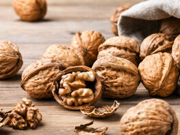  Kyrgyzstan to draw up commercial proposal for supply of nuts to Turkey