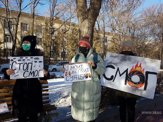 Фото 24.kg. Активисты вышли на акцию протеста