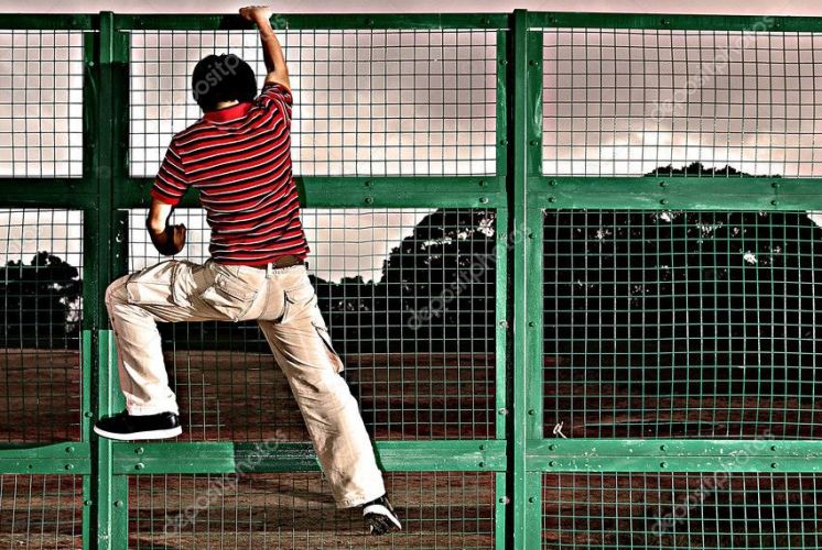 из интернета