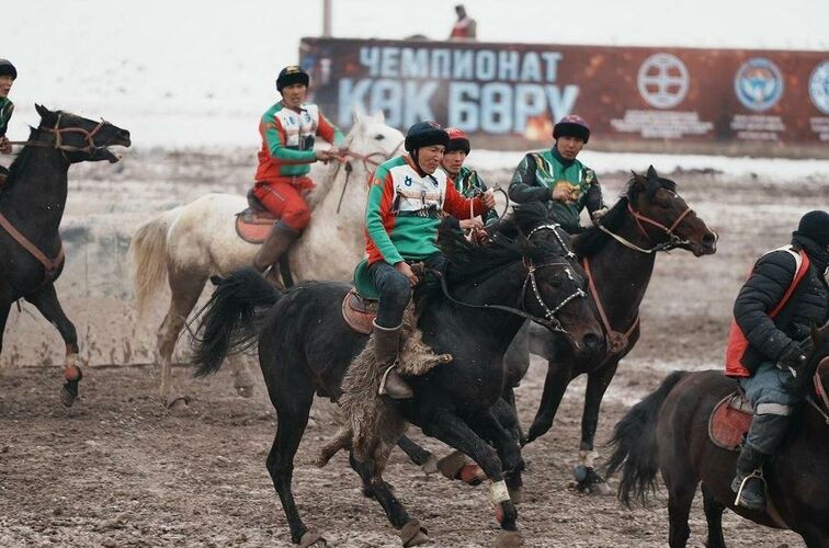 Федерации кок бору