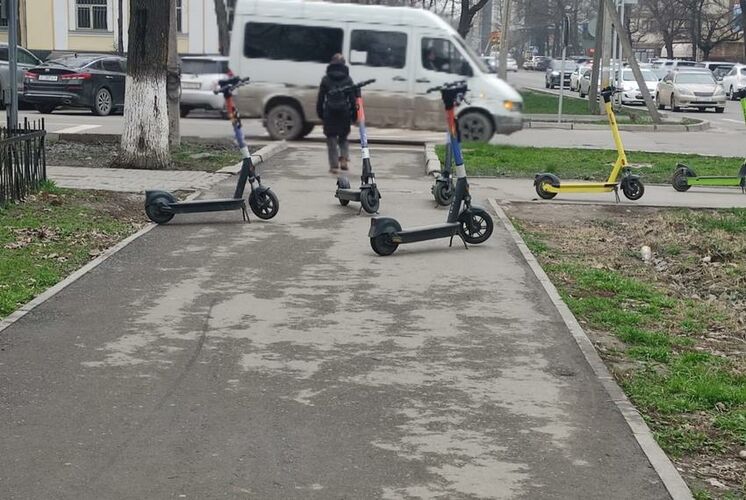 читателя 24.kg