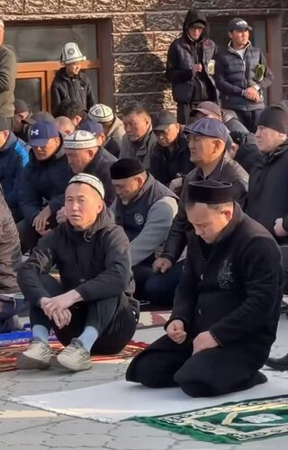 из интернета