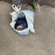 Фото пресс-службы прокуратуры Москвы. Новорожденного ребенка выбросили в мусорный бак в этом пакете