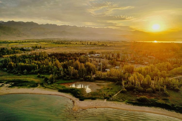 Евгения Липкина