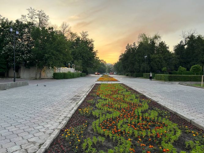 читателя 24.kg