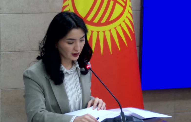 — скриншот прямого эфира с заседания комитета