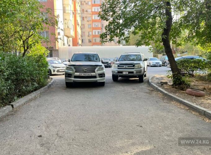 читателя 24.kg