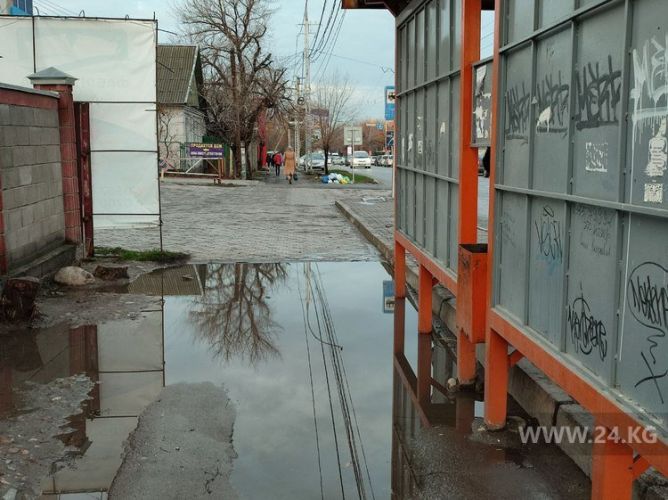 читателя 24.kg