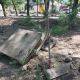 Фото 24.kg. Часть молодых саженцев пострадала в процессе реконструкции