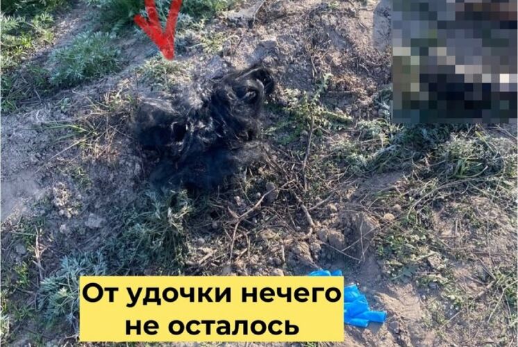 из интернета