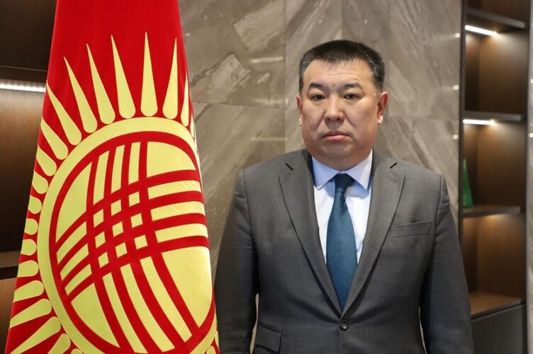 из интернета