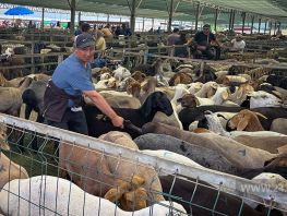 Ночь, кровь и&nbsp;километровые пробки. Как Бишкек встречал Курман айт 