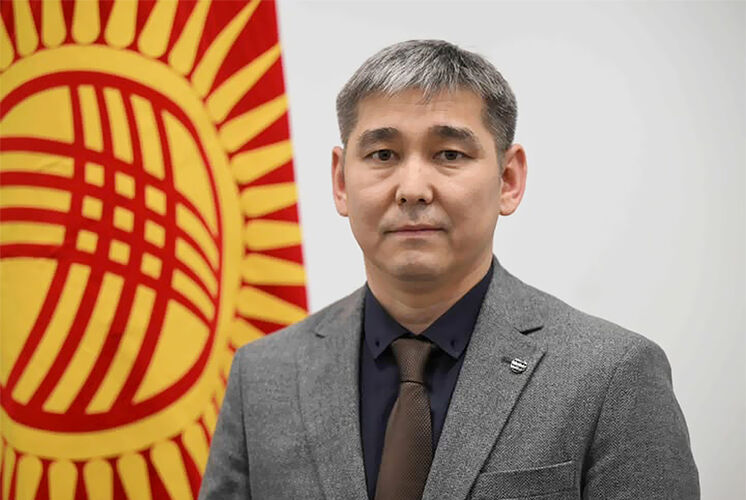 из интернета