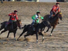 Где пройдут VII Игры кочевников, станет известно в&nbsp;ближайшие месяцы
