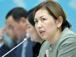 Депутат: КР&nbsp;не&nbsp;надо было выходить из&nbsp;членства в&nbsp;Фонде по&nbsp;спасению Арала
