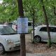 Фото читателя 24.kg. В Бишкеке во дворах расклеивают объявления на деревьях