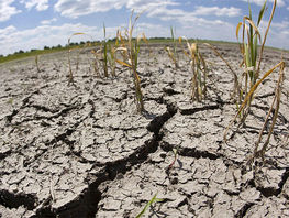 Засуха-2022. К&nbsp;чему готовиться кыргызстанцам?
