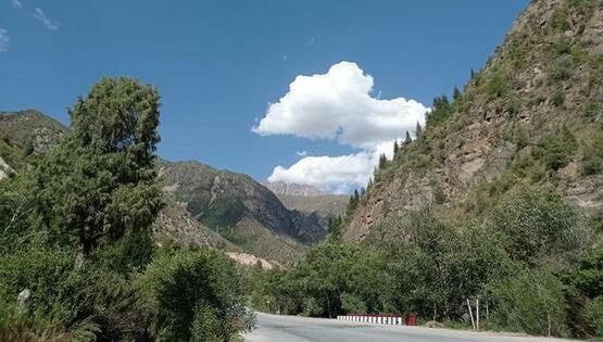 Зимняя сказка в&nbsp;Букаре и&nbsp;ущелье Чичкан. Фото читателей 24.kg
