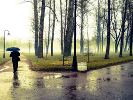 4-мартка карата аба ырайы
