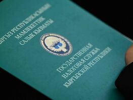 В&nbsp;ГНС рассказали, что меняется в&nbsp;проверках после внедрения системы &laquo;Салык Кузот&raquo;
