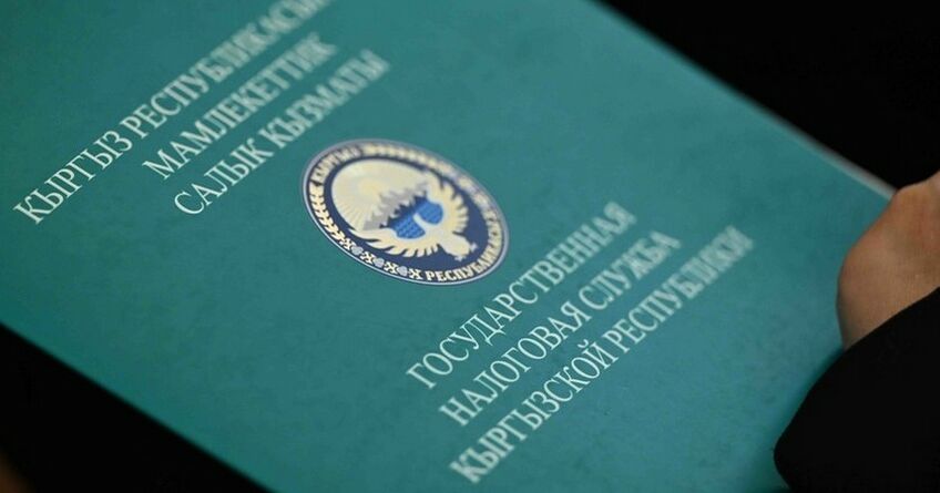 В&nbsp;ГНС рассказали, что меняется в&nbsp;проверках после внедрения системы &laquo;Салык Кузот&raquo;
