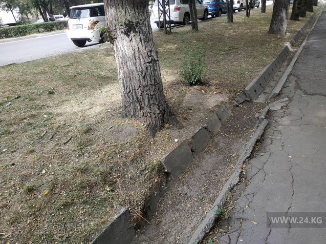 Фото 24.kg. В разбитых арыках воды нет