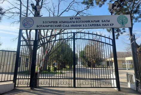 Уничтожение или возрождение? Что на&nbsp;самом деле происходит за&nbsp;забором Ботсада
