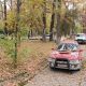 Фото читателя 24.kg. Дубовый парк превратили в стоянку