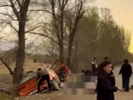 Балыкчы-Тоң жолунда каргашалуу кырсык болду. Каза болгондор бар
