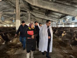 Опасения о&nbsp;ящуре. Что на&nbsp;данный момент известно?
