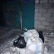 Фото читателя 24.kg. Бишкекчане продолжают жаловаться на несвоевременный вывоз мусора