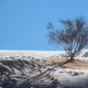 Фото из интернета. В пустыне Сахара, которая считается крупнейшей из жарких засушливых зон в мире, выпал снег