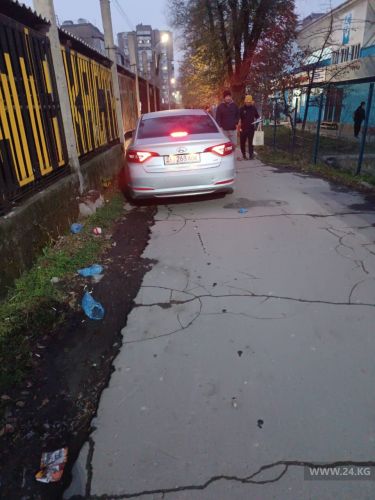 читателя 24.kg