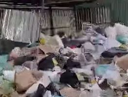 В&nbsp;Шопокове жители улицы Футбольной пожаловались на&nbsp;невывоз мусора
