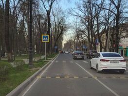 Бишкекчанин раскритиковал &laquo;лежачие полицейские&raquo;: город и&nbsp;так утопает в&nbsp;пробках
