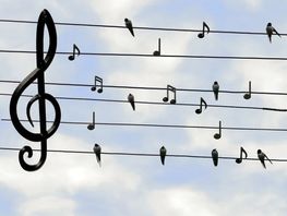 Афиша Бишкека на&nbsp;выходные: спектакли, выставки и&nbsp;фестиваль
