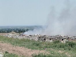 Жители села Александровка Чуйской области требуют закрыть мусорный полигон
