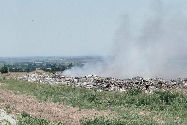 жителей села Александровка