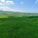 Фото Бакыта Шукуралиева. Изумрудные пейзажи Чуйской долины