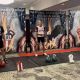 Фото Федерации гиревого спорта Кыргызстана. Кыргызстанец Ислам Нарынбеков стал двукратным чемпионом США по гиревому спорту
