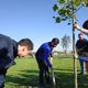 Фото 24.kg. Премьер-министр посадил дерево в новом парке