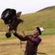 Фото World Nomad Union. В Кыргызстане выпустили 14 соколов на свободу